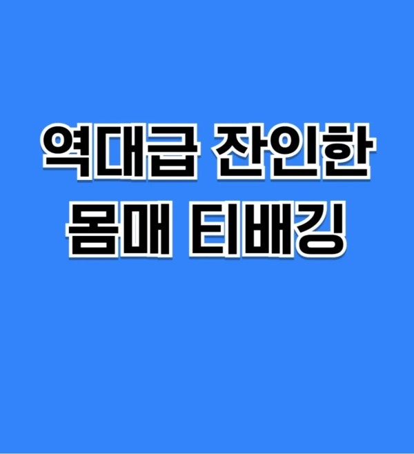 역대급 잔인한 몸매 티배깅