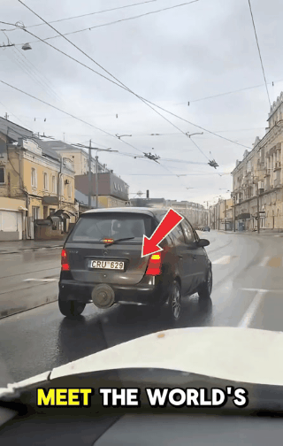 혼자 죽을 수 없다는 차주