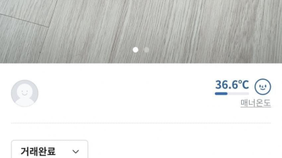 요즘 당근 진상 근황