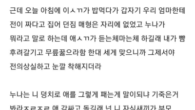 명절에 조카 싸대기 갈긴 블라인