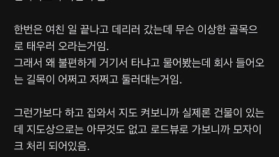 여자친구가 국정원 직원같다는 블라인