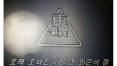 그시절 불법 번역 자막제작자