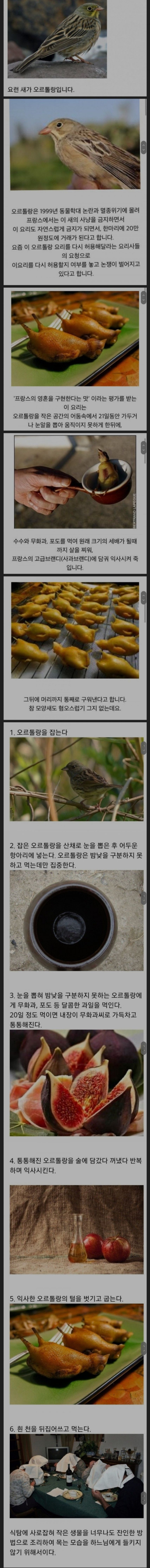 프랑스에서 금지된 악마의 요리