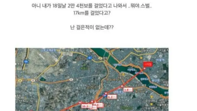 술먹고 17km 걸은 남자