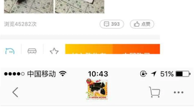 중국 애완용 미니돼지 구매후기