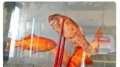 딸이 엄마를 의심한 이유