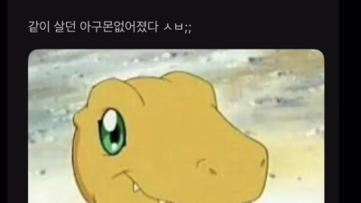 니들은 정신과약 함부로 먹지마라