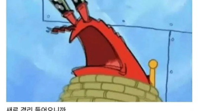 ㅈ소에 여경리 하나 새로 들어왔는데