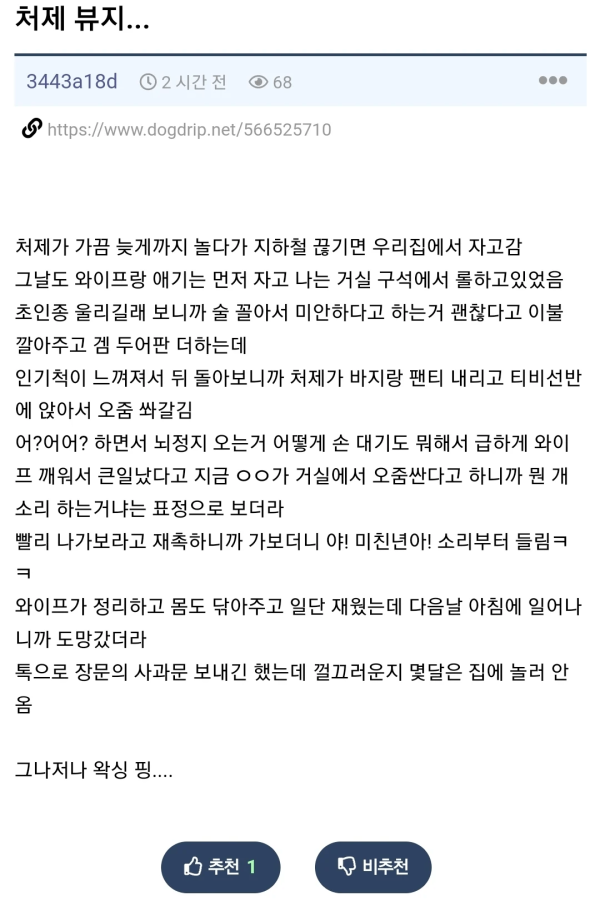티비 선반에 오줌 갈겨버린 처제