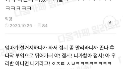 자기 언니가 미쳤다는 디시인