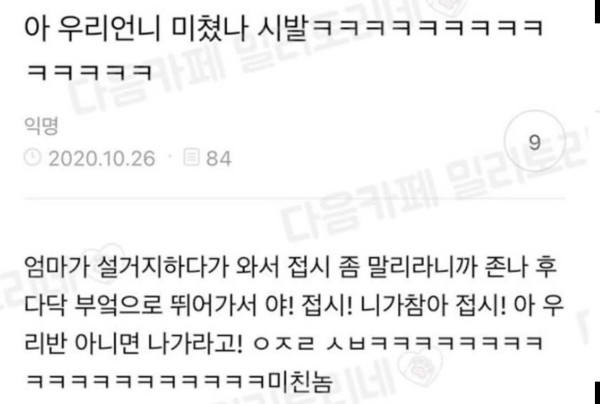 자기 언니가 미쳤다는 디시인