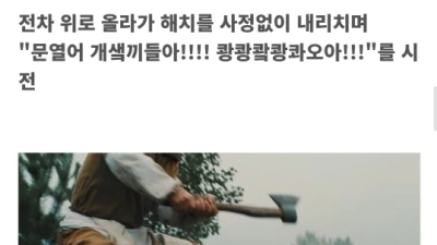 도끼로 전차를 무력화한 전설의 병사