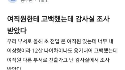 여직원한테 고백했다가 감사실 조사 받은 썰