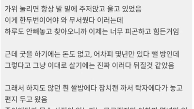 귀신을 믿는다는 디시인