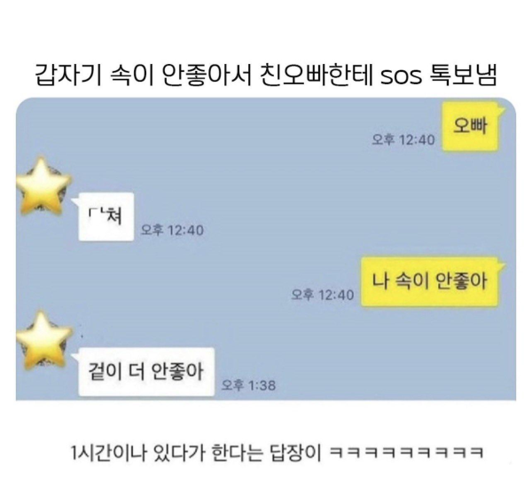 진정한 찐남매 카톡