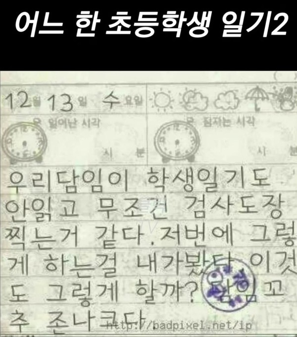 어느 초등학생의 일기
