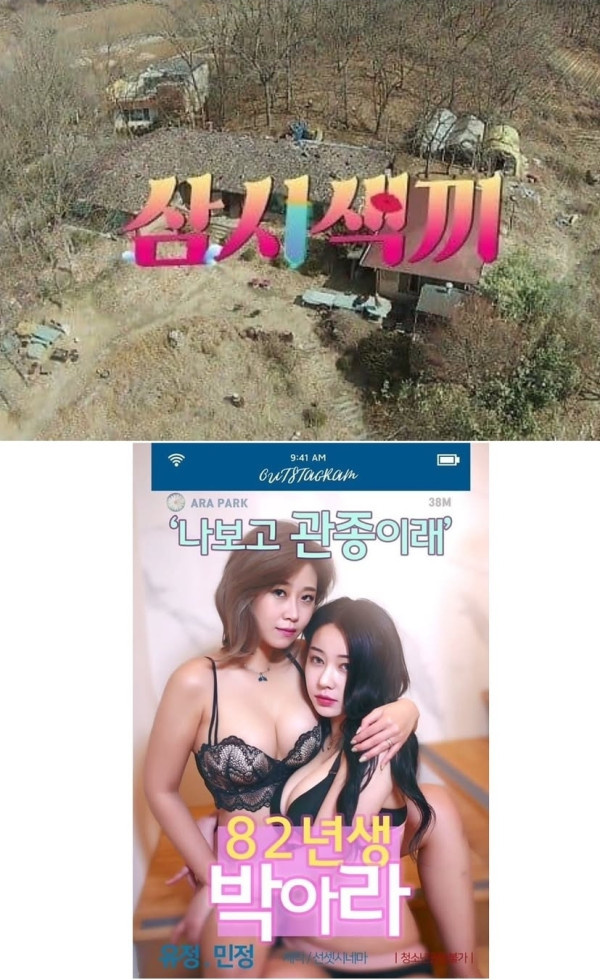 한국 에로영화 작명 모음