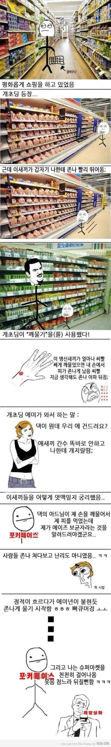 건방진 개초딩 참교육