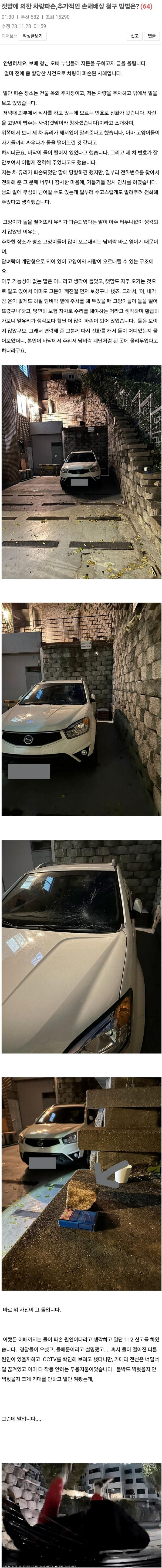 레전드 캣맘 사건