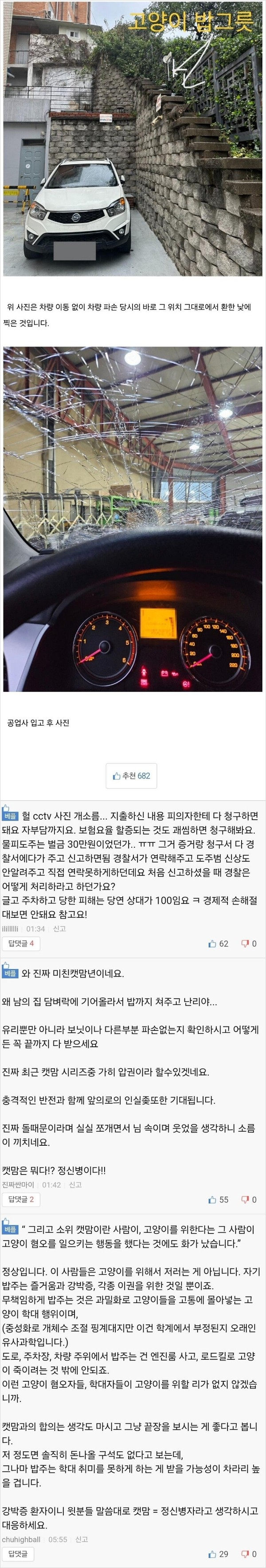 레전드 캣맘 사건