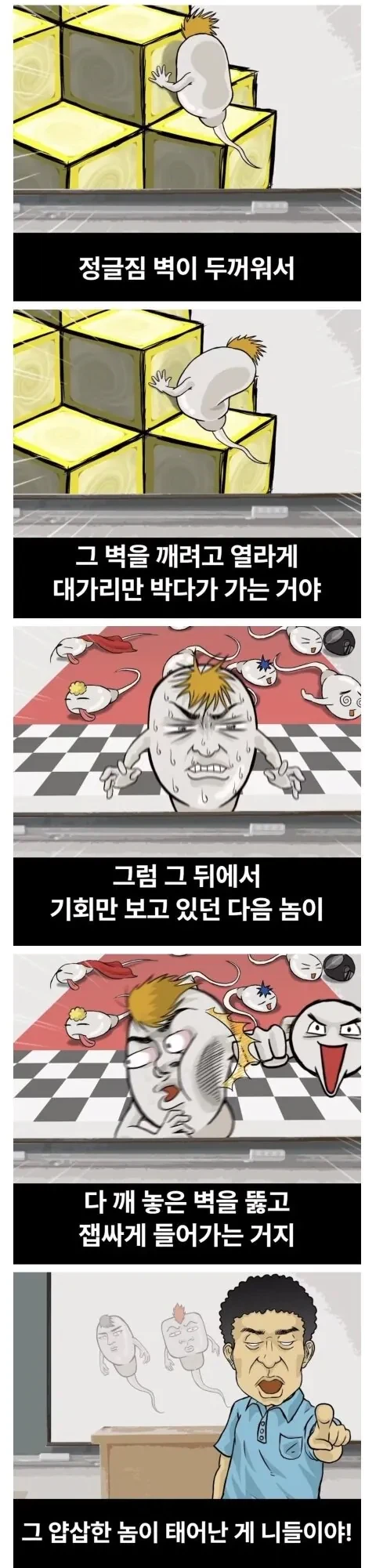 올바른 성교육 만화