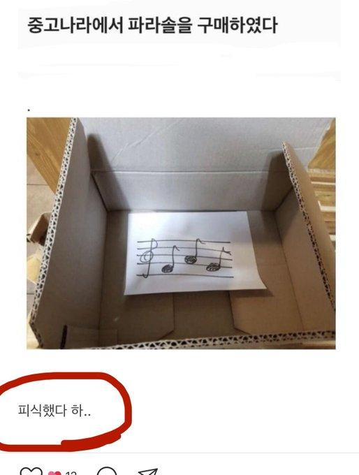 중고나라 파라솔 구매 후기