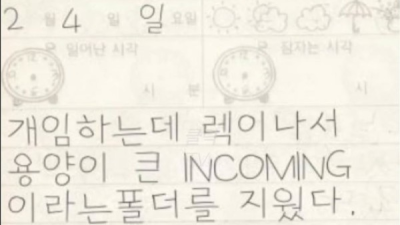 어느 초등학생의 일기