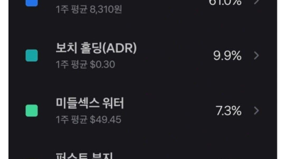 디시 주식겔 근황