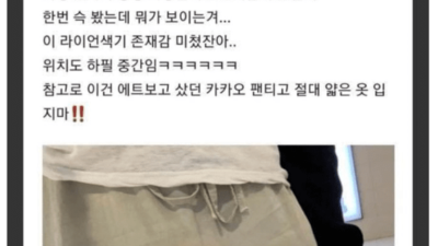 카카오팬티의 존재감