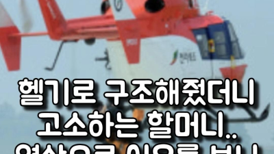 헬기로 구조 해줬는데 고소한 할머니