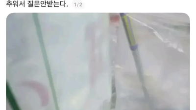 와이프한테 한마디 했다가 쫓겨난 남편