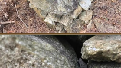 학교 뒷산에서 50만원 발견한 디씨인