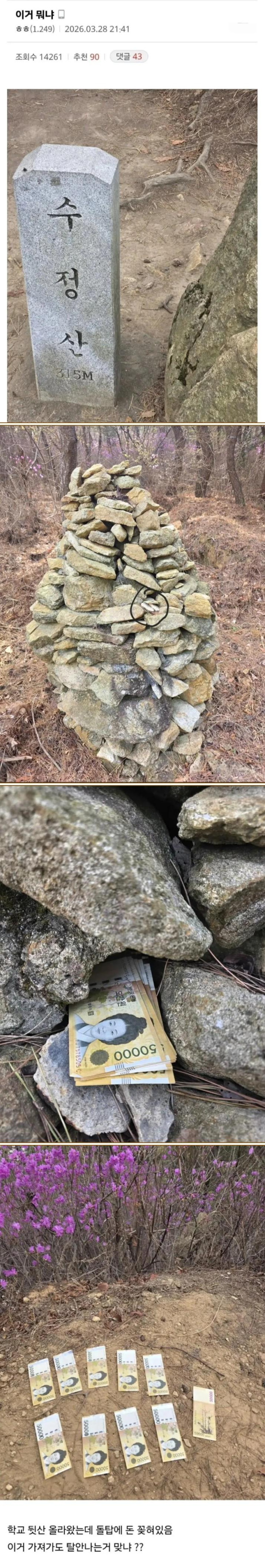 학교 뒷산에서 50만원 발견한 디씨인