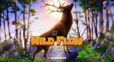 하바네로 와일드 플로우[슬롯까불이]