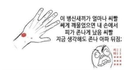 건방진 개초딩 참교육