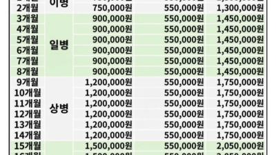 요즘 군대 월급 현황