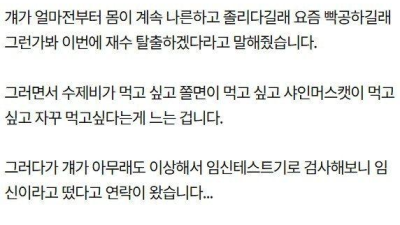 과외해주던 여학생을 임신시킨 대학생