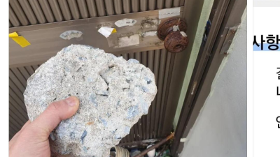 배달 요청사항 근황