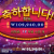 애니벳 후기