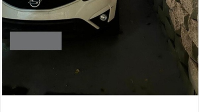 레전드 캣맘 사건