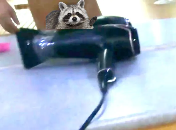 2만 유튜버 논란