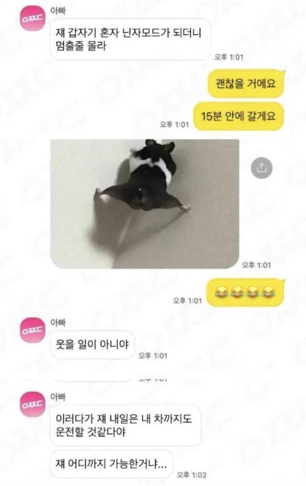 햄스터 때문에 당황하신 아버지