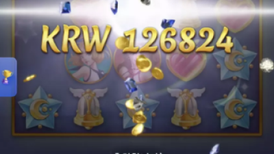 뉴헤븐 후기입니다