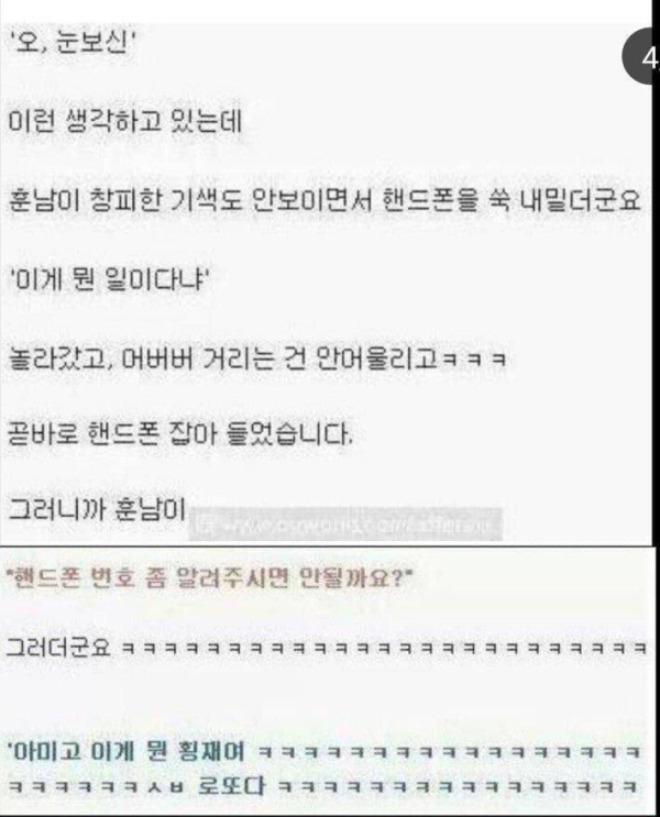 강아지 산책중 번호따인 썰