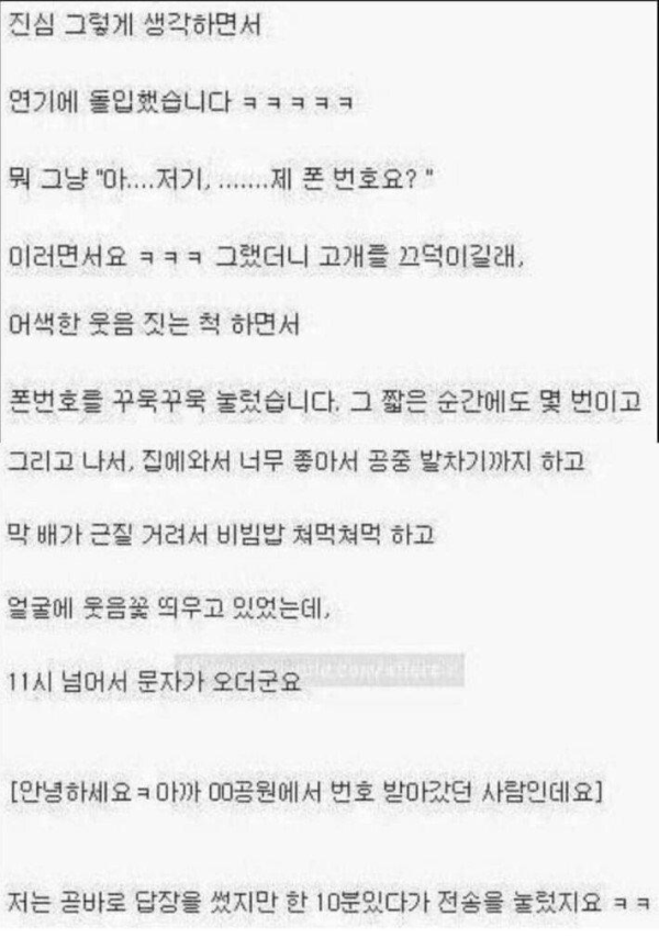 강아지 산책중 번호따인 썰