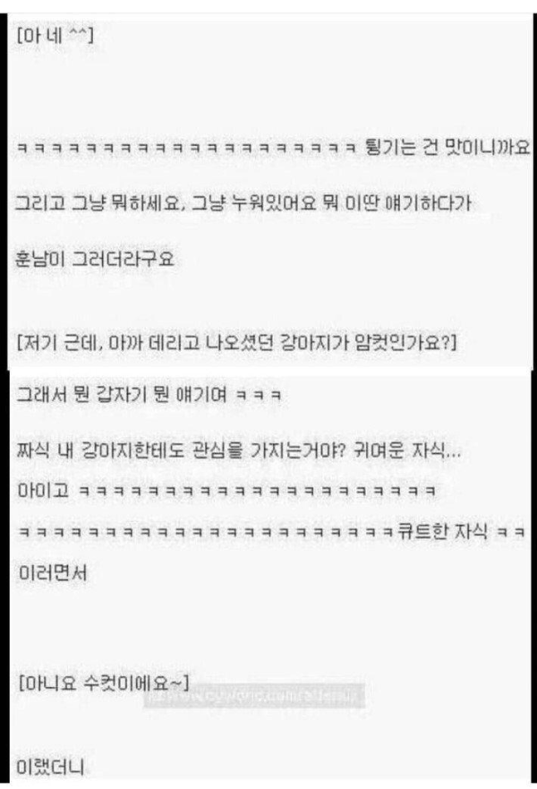 강아지 산책중 번호따인 썰