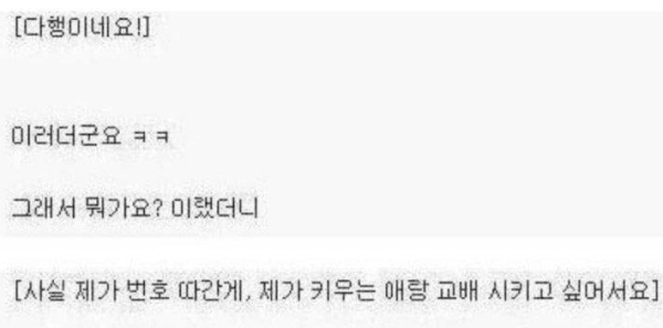 강아지 산책중 번호따인 썰