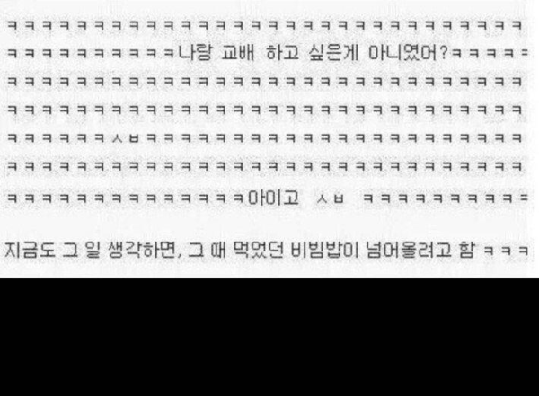 강아지 산책중 번호따인 썰