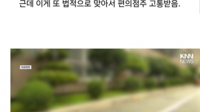 동네 캣맘을 시원하게 조져버린 편의점주