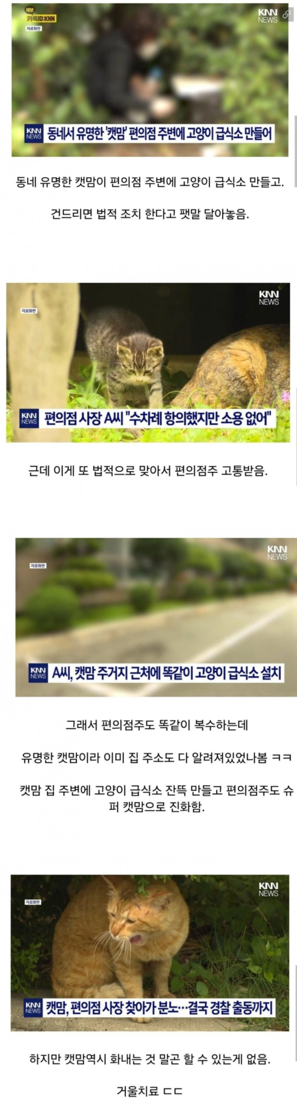 동네 캣맘을 시원하게 조져버린 편의점주